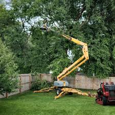 Leaf Removal in Cedar City, UT